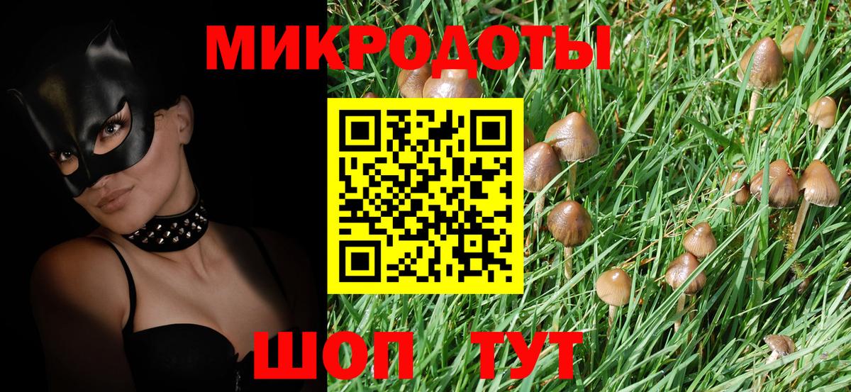Галлюциногенные грибы Cubensis Гусиноозёрск