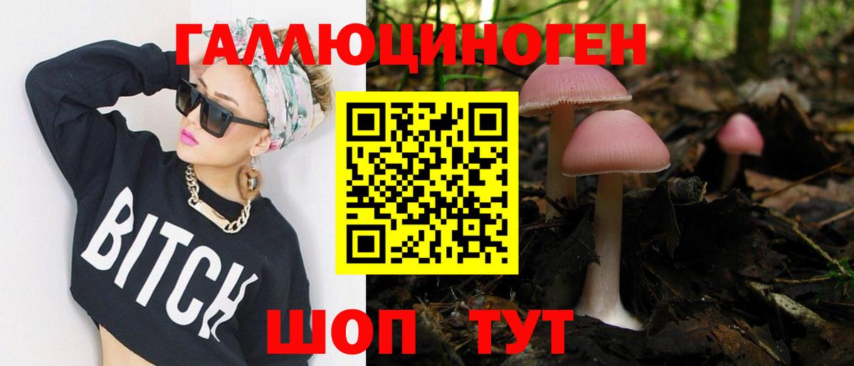 Гусиноозёрск  как найти   Галлюциногенные грибы Psilocybe  Вход с VPN  Галлюциногенные грибы мухоморы 
